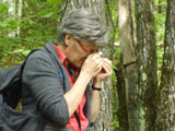 Participante observant une bryophyte à la loupe. - Photo : Marie D'Aoûst