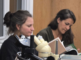 Ce qui n'empêche pas les bryologues en herbe de prendre la chose très au sérieux! - Photo : Carole Beauchesne