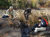 Recherche de spécimens à la rivière de la Petite Nation. - Photo : Élyse Grenier